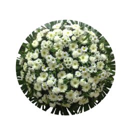 coroa atenas para funeral